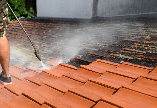 Best Pressure Washing Company Near Me  in Oak Hill, OH